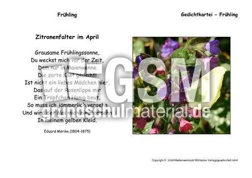 Zitronenfalter-Moerike.pdf